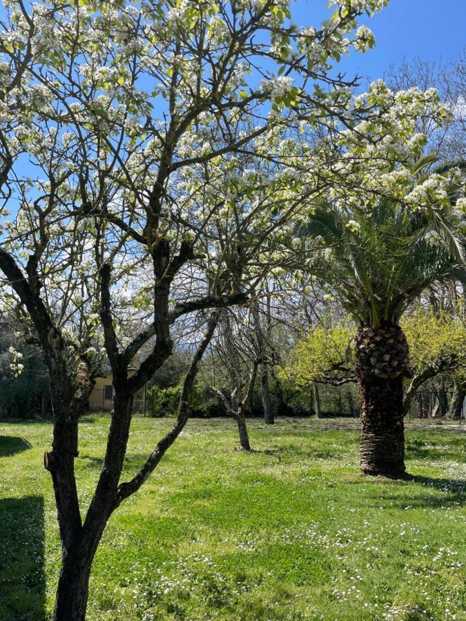 B & B Casal Pereto Valmontone Exterior foto